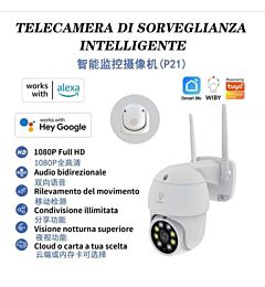 P21    IP CAMERA