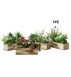 CASSETTA PIANT+FIORI A4M CM24X9XH24