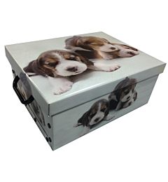 BAULETTO PICCOLO IN CARTONE CM 37X31X16Tendenze