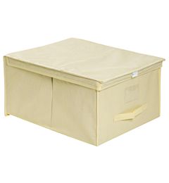 SCATOLA GRANDE IN TNT CM 50X40X25Tendenze