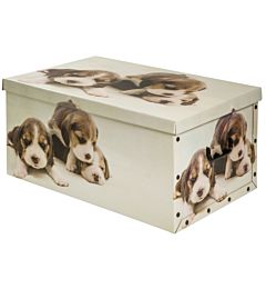 SUPERBAULE IN CARTONE CM65X42X30Tendenze