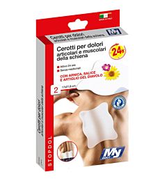CEROTTI DOLORI ARTICOLARI/MUSCOLARI SCHIENA 2PZLa Briantina