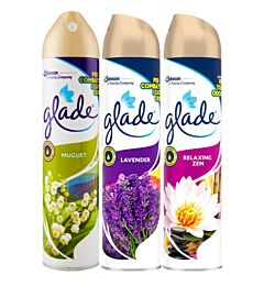 GLADE SPRAY MIX 300ML A.93Glade