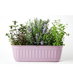 FIORIERA  ETIKA  CM.48 LAVANDA