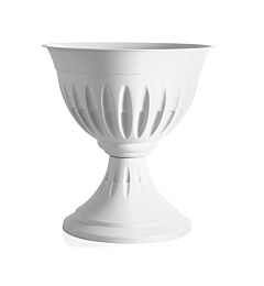 CALICE  ALBA   33  BIANCOBama