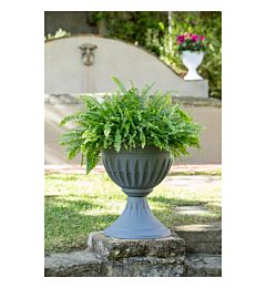 CALICE  ALBA   25  GRIGIOBama