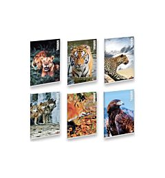 MAXI BM    FG. 21 GR. 80          ANIMAL     5MM