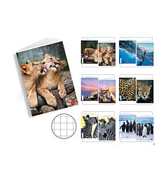 MAXI BM    FG. 21 GR. 80          ANIMAL     10MM