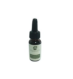 FRAGRANCE OIL 10ML - MUSCHIO B.