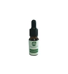 FRAGRANCE OIL 10ML - EUCALIPTO