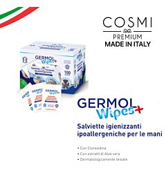 IDROFIL SALVIETTE IGIENIZZANTI 100PZ