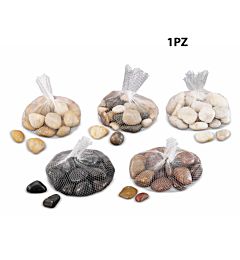 SASSI RETINA ASS5COL GR800