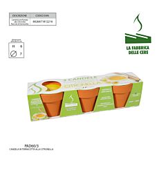 CONF 3 VASETTI TERRACOTTA CITRONELLA 7X6Nappi