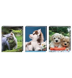 COPERTINA ANELLO BM F.TO PROTOCOLLO SWEET