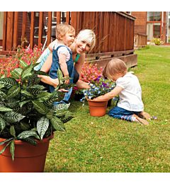 VASO  HEDERA  D 20 TERRACOTTA