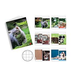 MAXI BM    FG. 21 GR. 80          CUTE       10MM