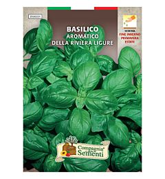 BASILICO AROMATICO RIVIERA LIGUREOrganica