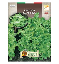 LATTUGA SALAD BOWL