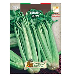 SEDANO VERDE