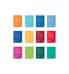 QUAD.BM    FG. 21 GR. 80           COLOR BASIC CPigna