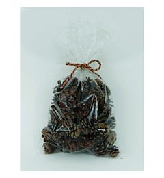 BUSTA CON PIGNE NATURALI GR.400