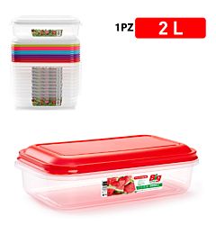 CONTENITORE  BIG 2 LPlastic Forte