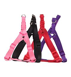 PETTORINA X CANI E GATTI