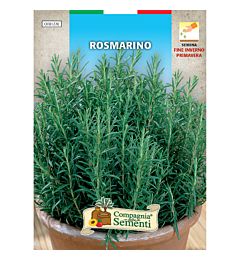 SEMI AROMATICI - ROSMARINOOrganica