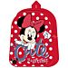 TROLLEY ASILO MINNIE PREMiUM