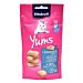 CAT YUMS SALMONE 40GVitakraft