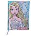DIARIO STD FROZEN X6