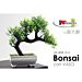 ANS/BONSAI 22*7*20 DH-348Gicos