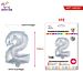 PALLONCINO ALLUMINIO N2 100CMParty Go