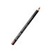 PROFESSIONAL LIP PENCIL N.41Astra