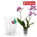 VASO ORCHIDPlastic Forte