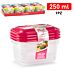 SET 3 CONTENITORI 250 MLPlastic Forte