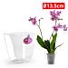 VASO QUADRATO ORCHIDPlastic Forte