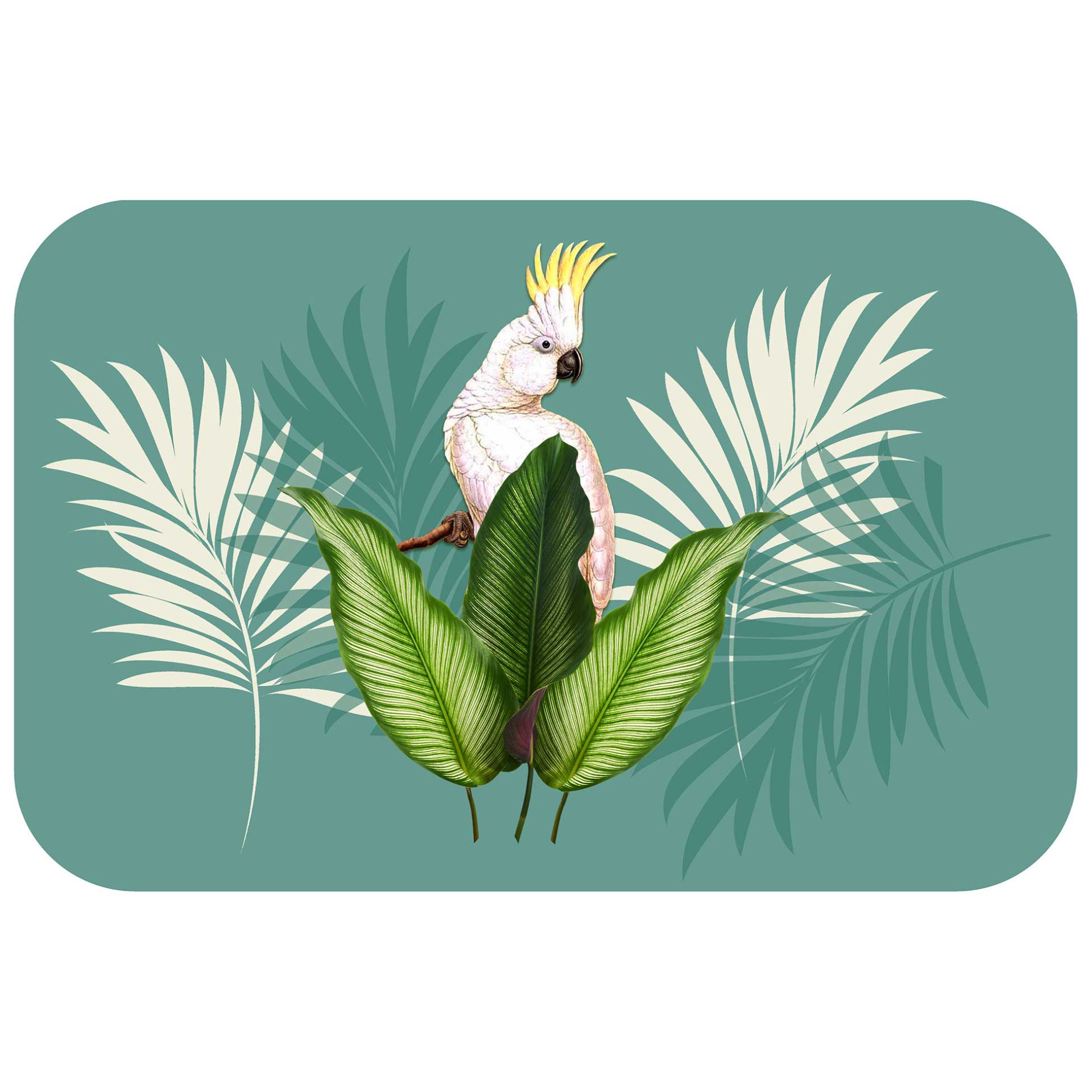 SET DA TAVOLA 28.5 X 44 CM POLIPROPILENE OPACO CAC