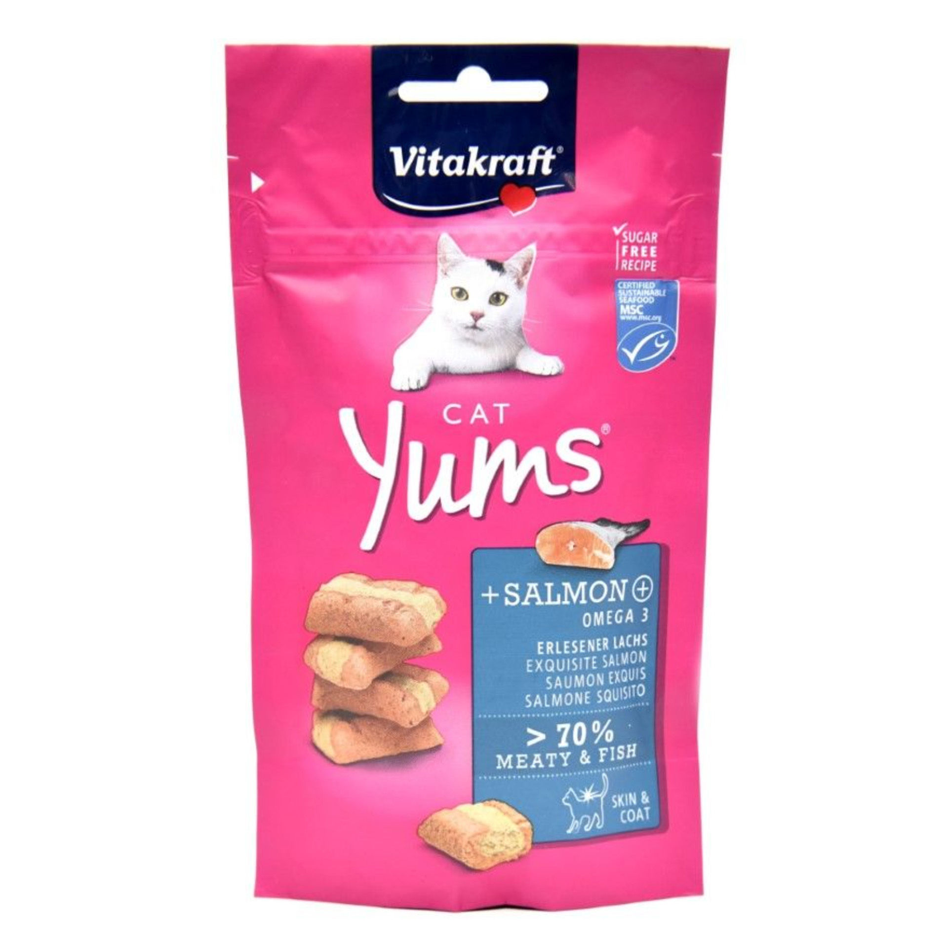 CAT YUMS SALMONE 40GVitakraft