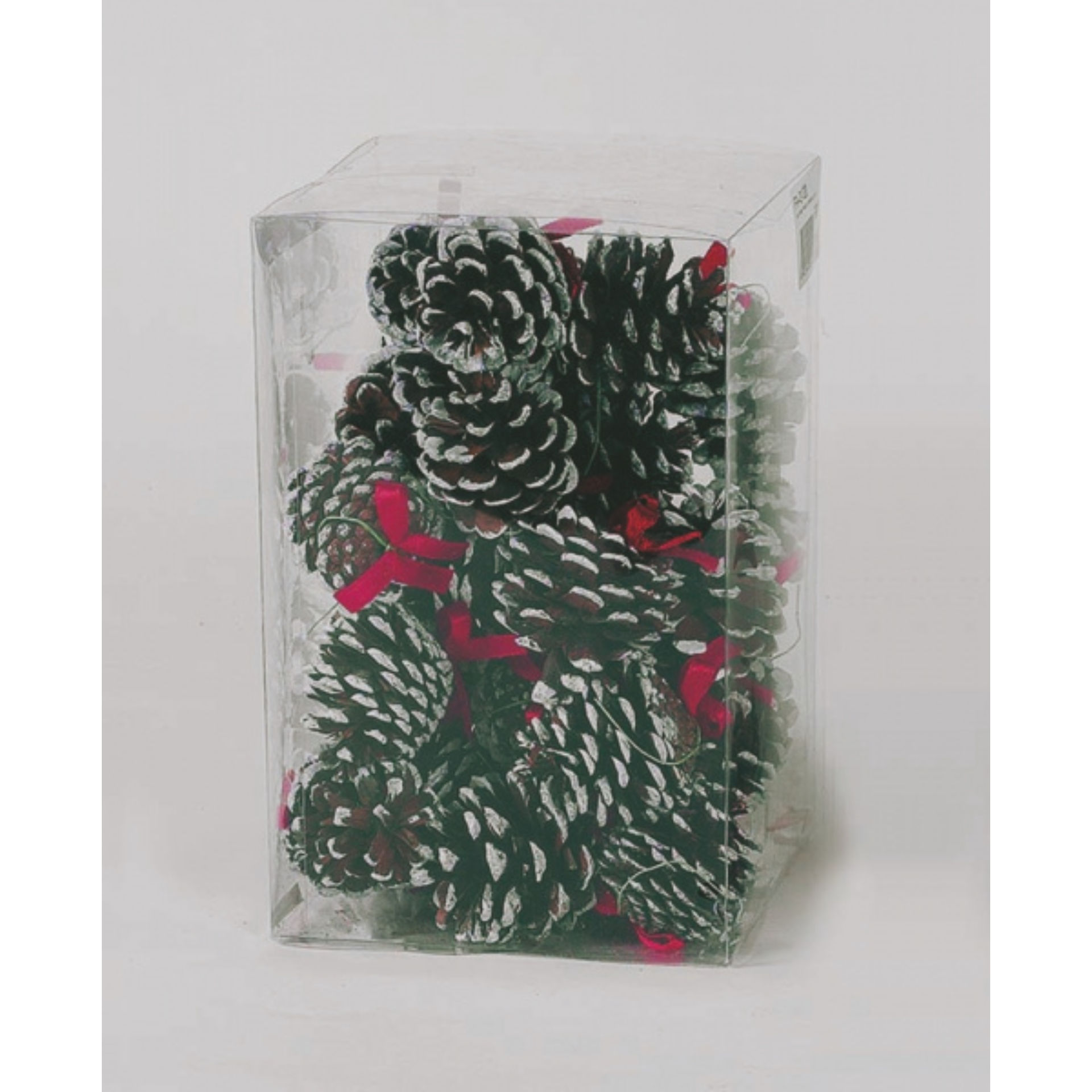 25 PIGNE PUNTE BIANCHE IN CILINDRO PVC