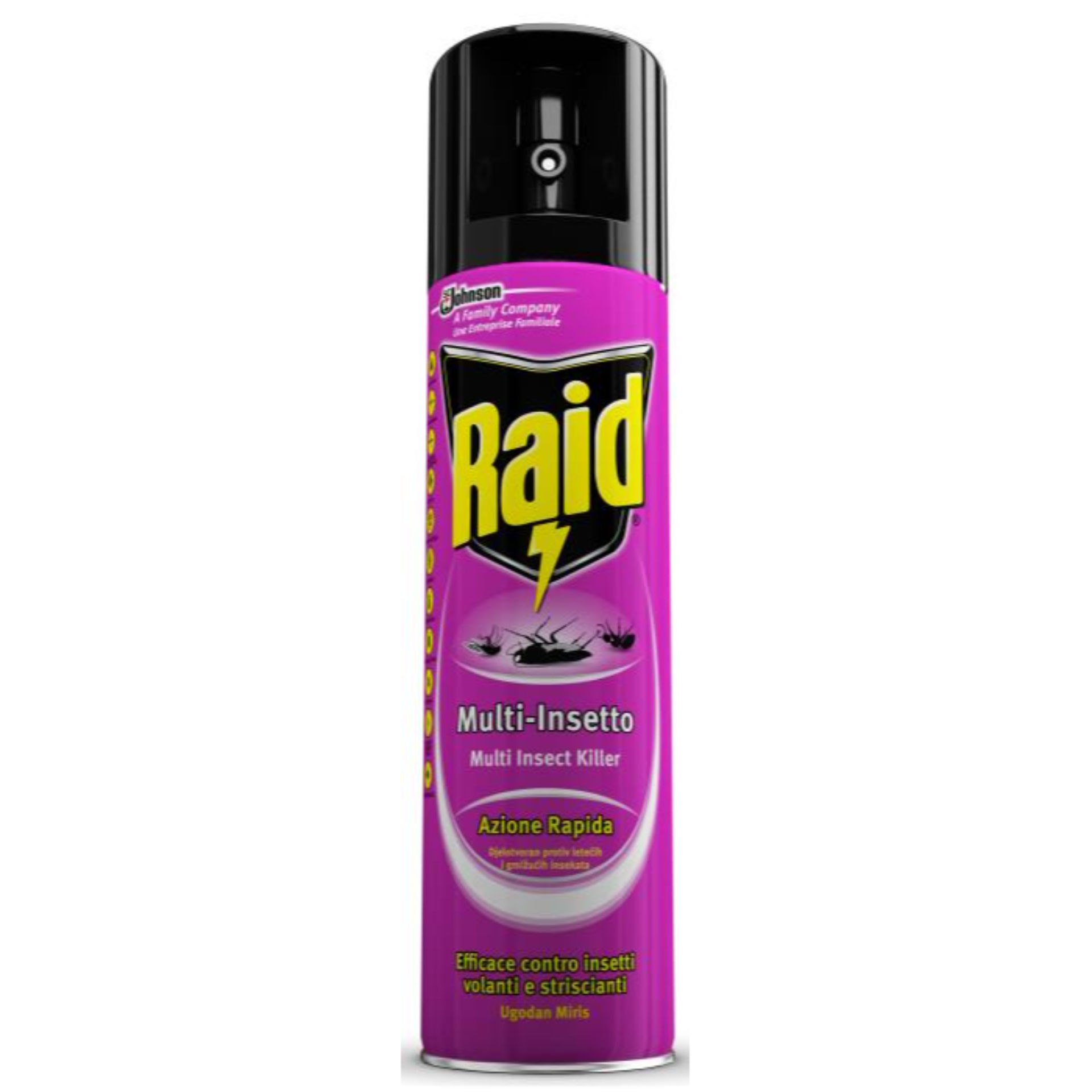 RAID MULTI-INSETTO SPRAY 300ML A.179Raid
