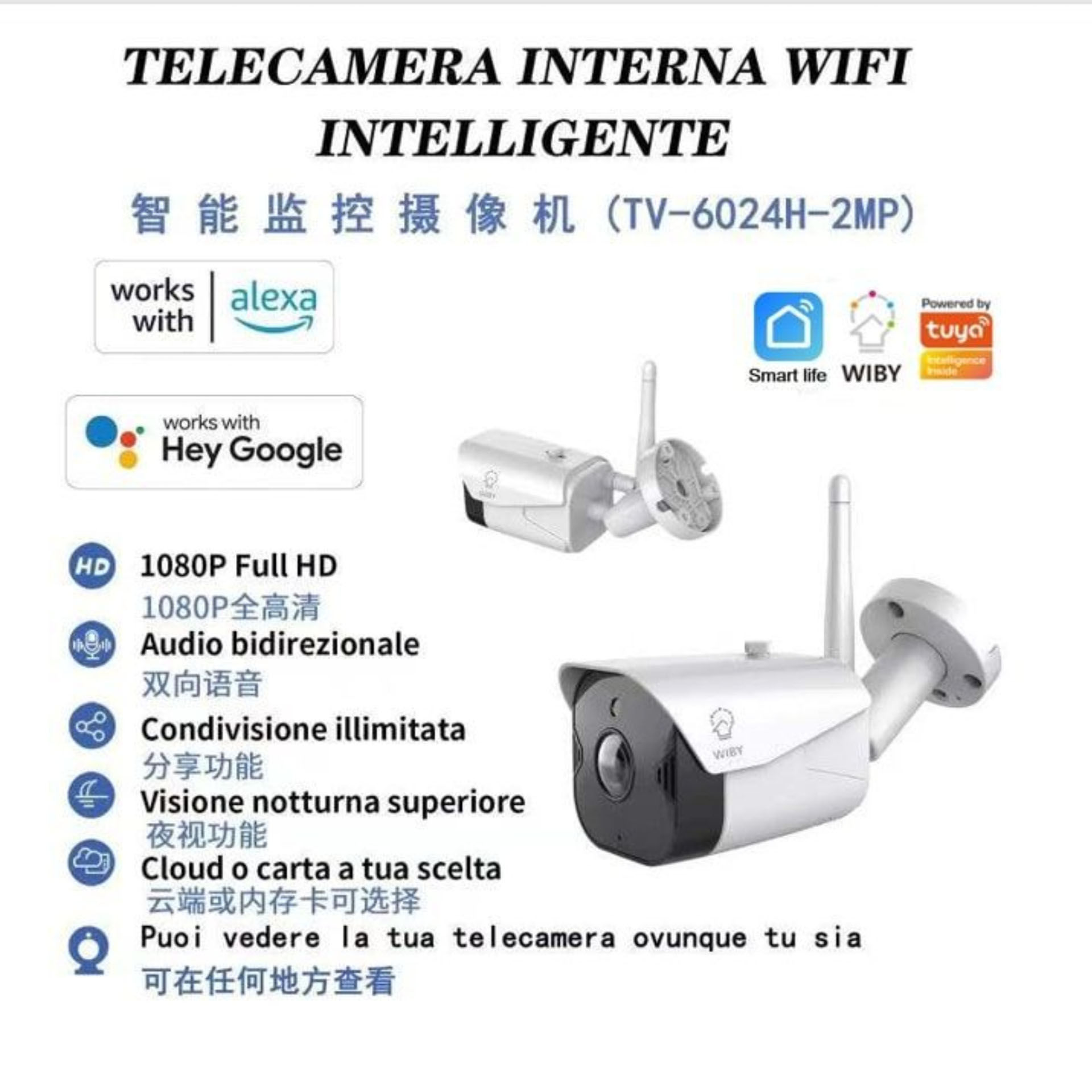 TV-6024    IP TELECAMERA