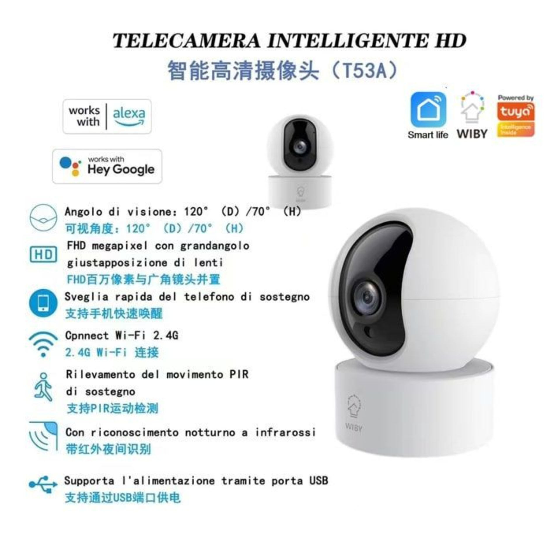 T53A    IP CAMERA