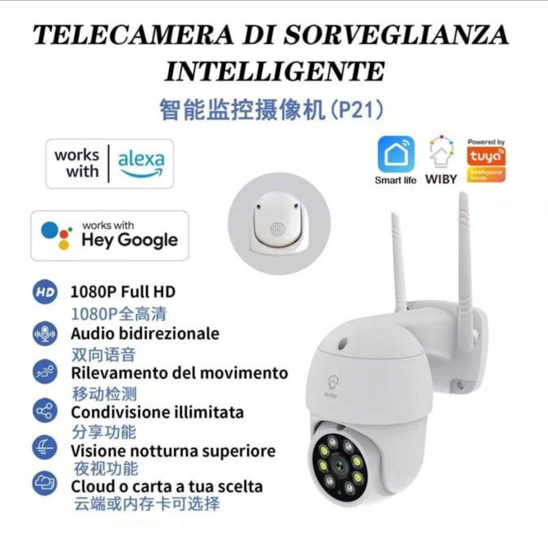 P21    IP CAMERA