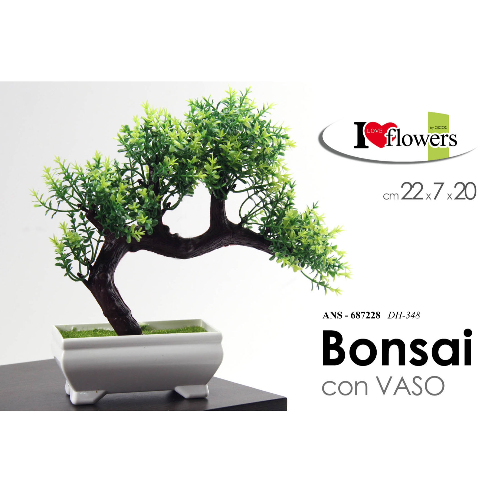 ANS/BONSAI 22*7*20 DH-348Gicos
