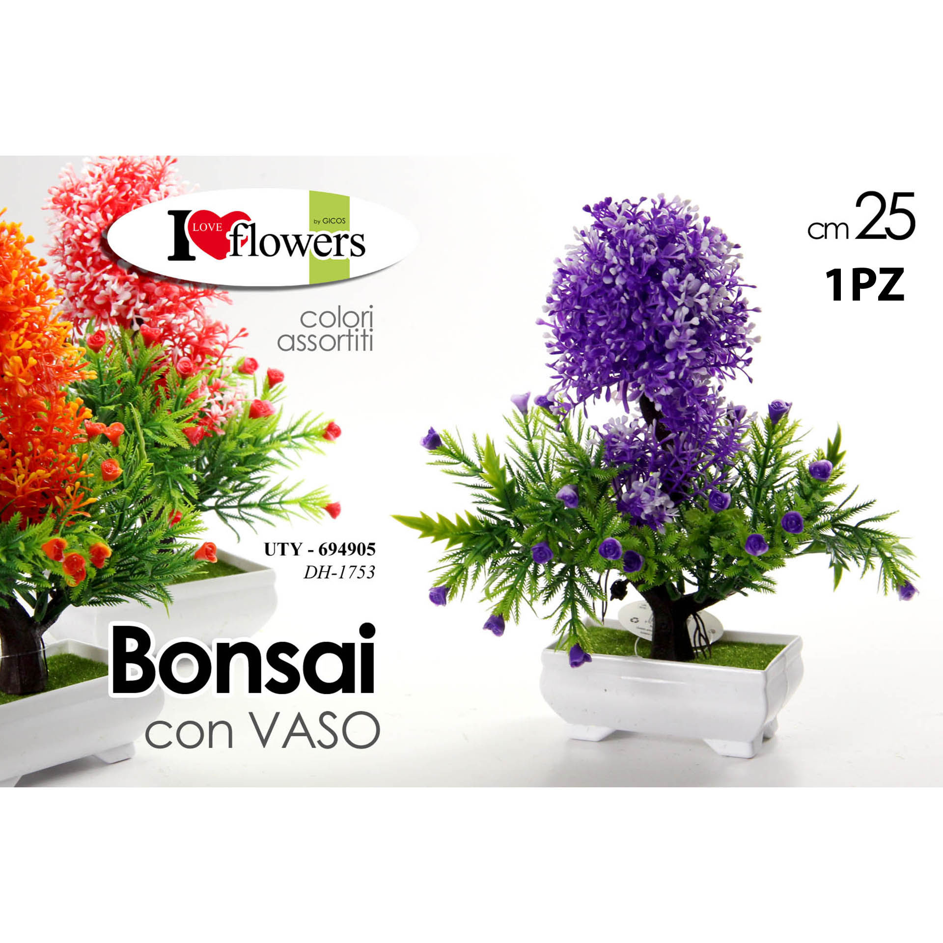 UTY/PIANTINA BONSAI ASS 25CM XD1753Gicos