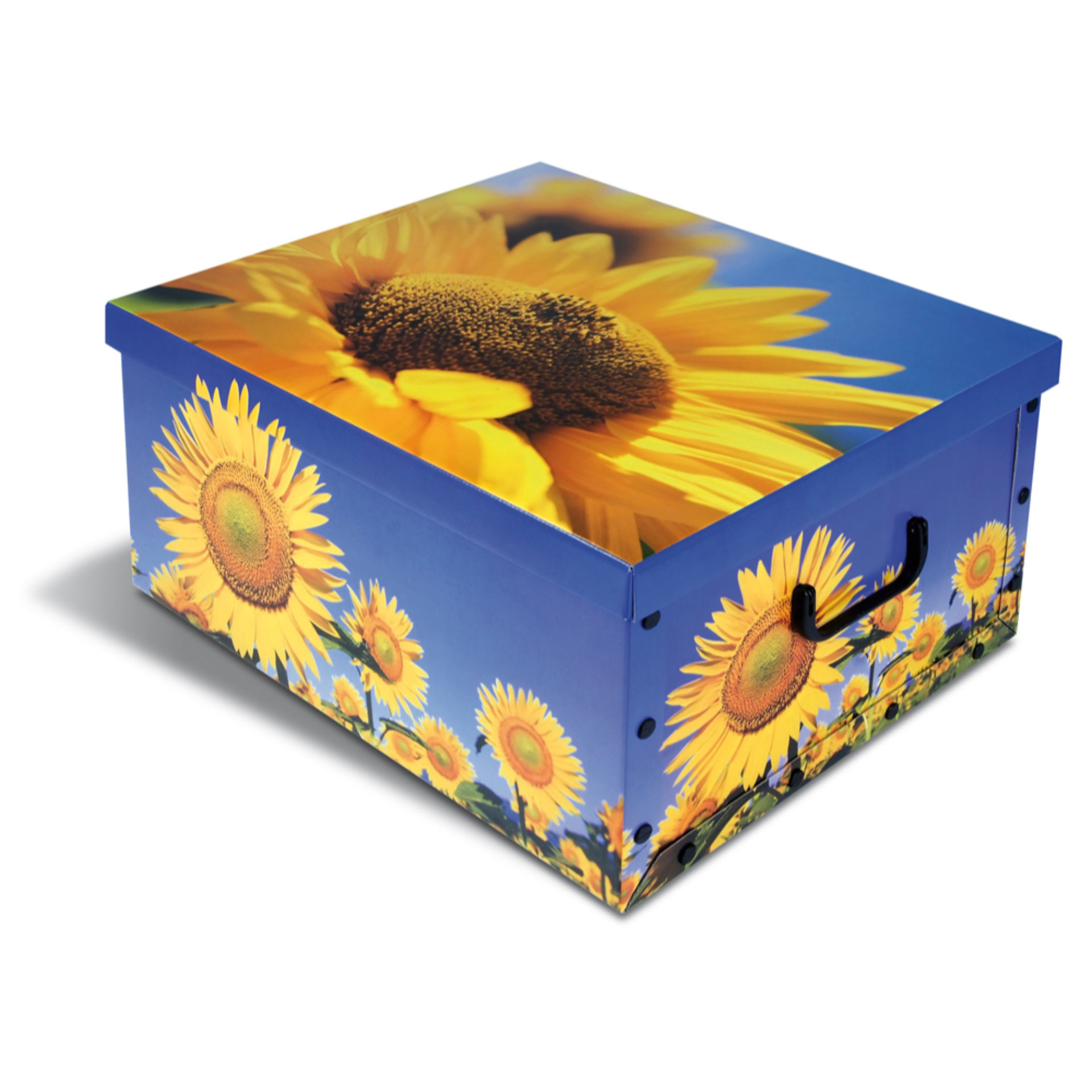 BAULETTO  IN CARTONE CM 50X40X25 -FIORI/ANIMALITendenze