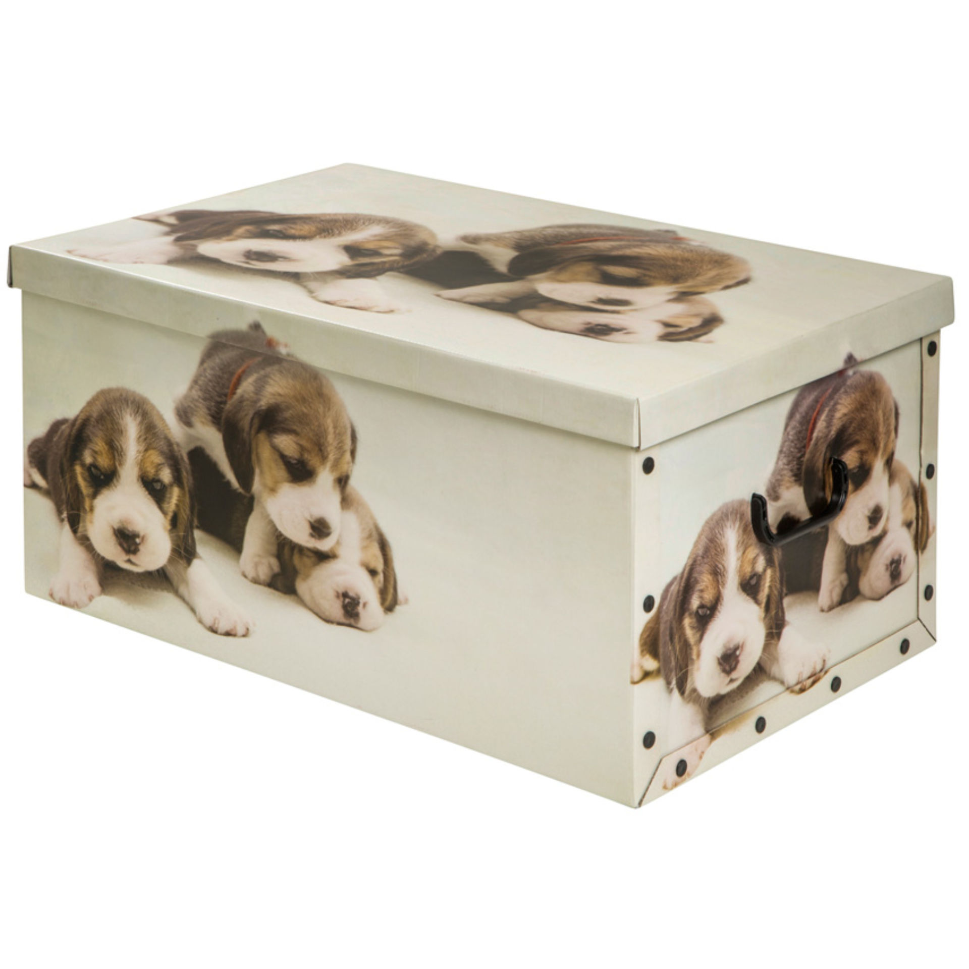 SUPERBAULE IN CARTONE CM65X42X30Tendenze