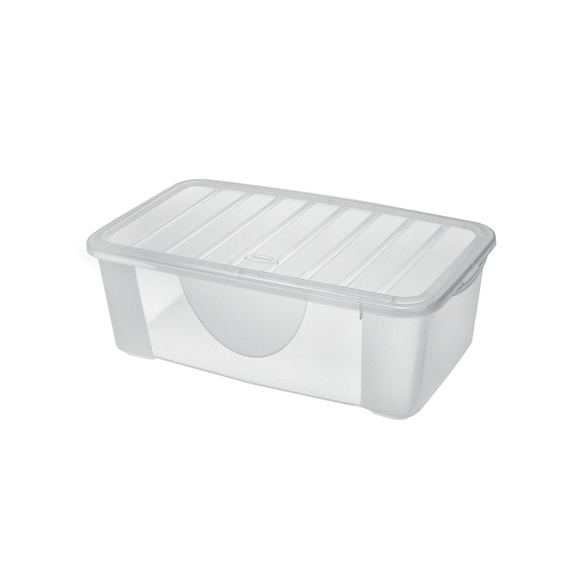 DODO S BOX M CON COPERCHIO  TRASPARENTETontarelli