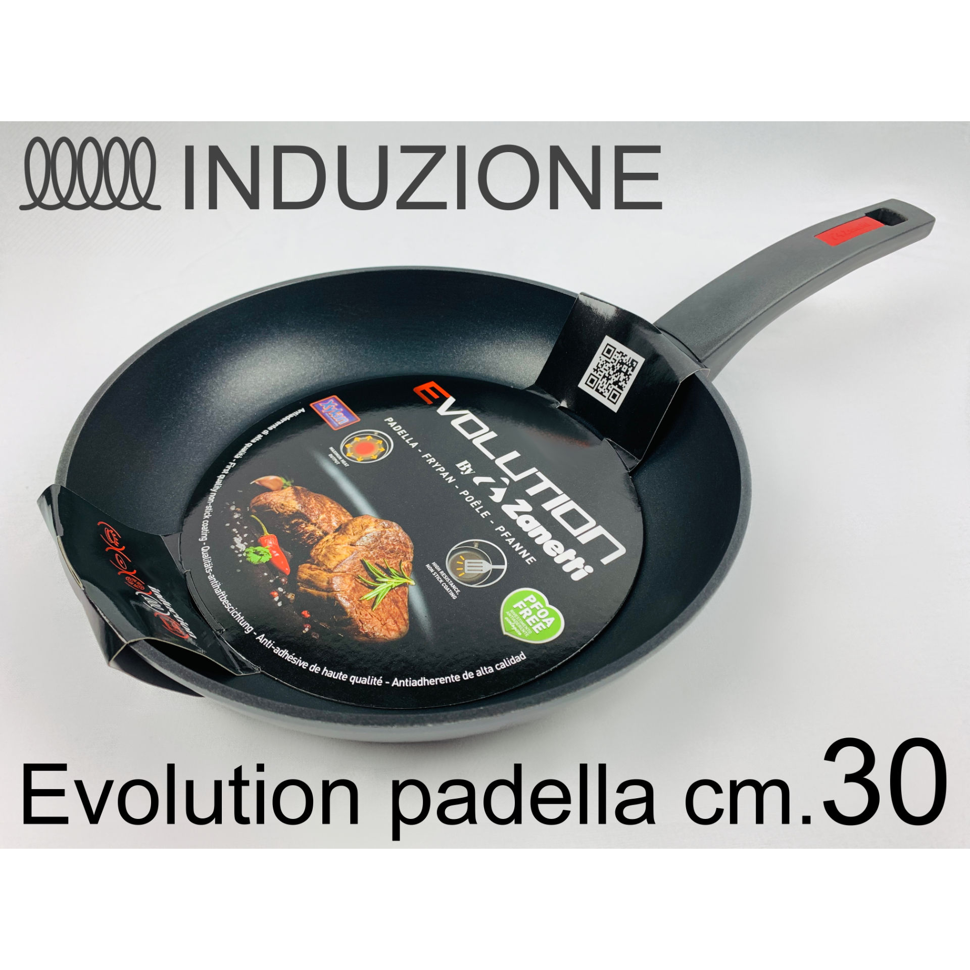 PADELLA CM 30 EVOLUTIONZanetti